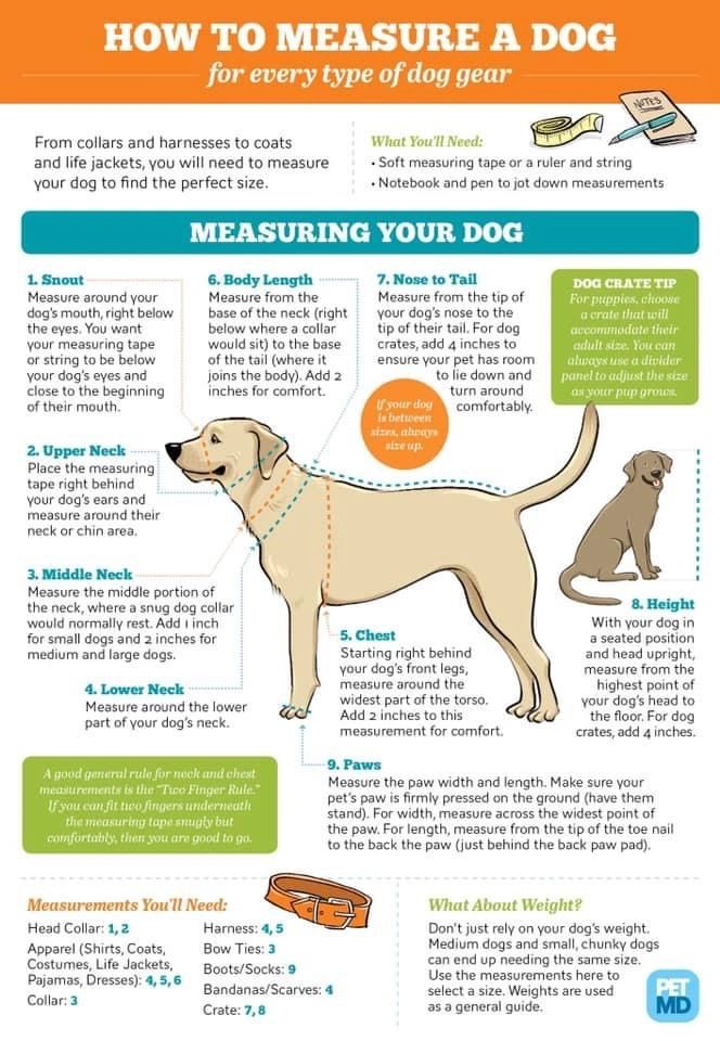 How to measure your dig