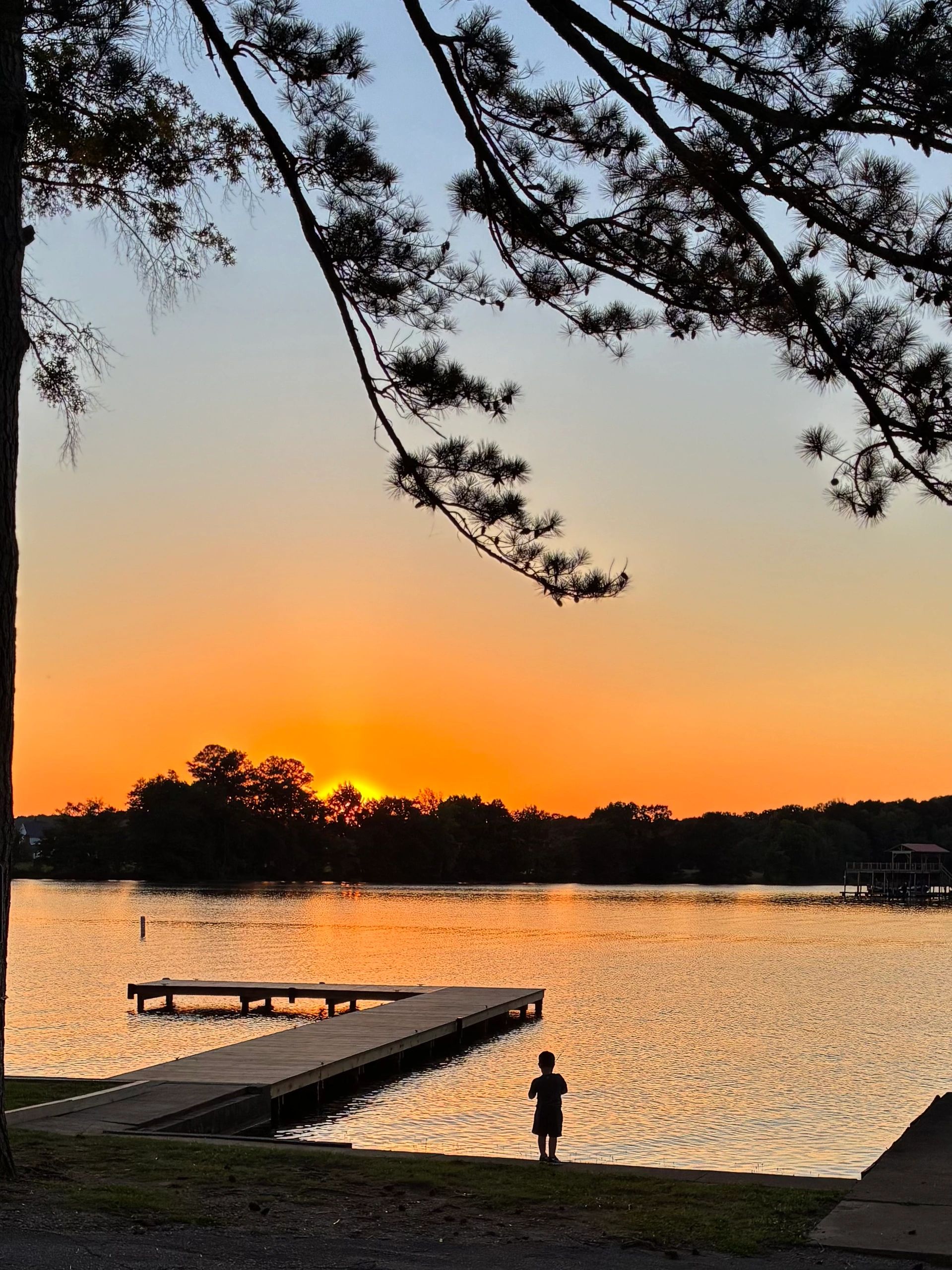A child stands by a lake during a vibrant sunset with silhouetted trees and a dock.