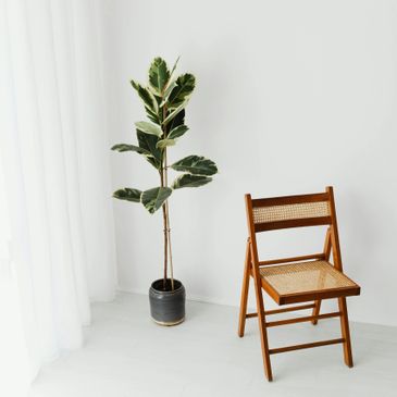 Minimalist room with wooden chair and potted plant.