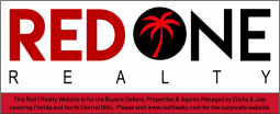 RED 1 REALTY