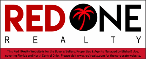RED 1 REALTY