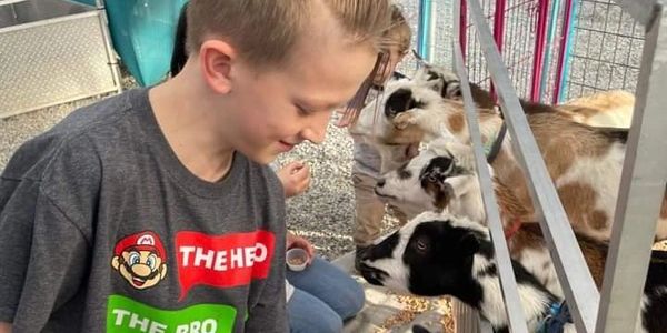 A boy feeding goats through a fence at a petting zoo. #northidahostatefair #countyandstatefair #educationalpettingzoo