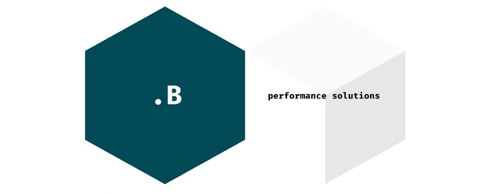 .B Performance Solutions