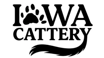 Iowa Cattery