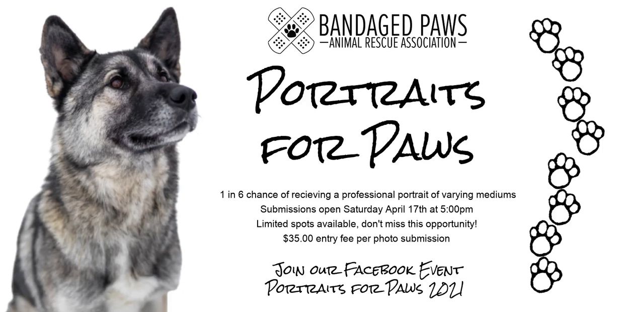 Dog portrait contest by Bandaged Paws Animal Rescue with $35 entry fee.
