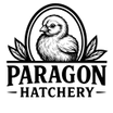 Paragon Hatchery