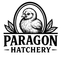 Paragon Hatchery