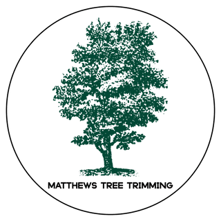 Matthews Tree Trimming Service