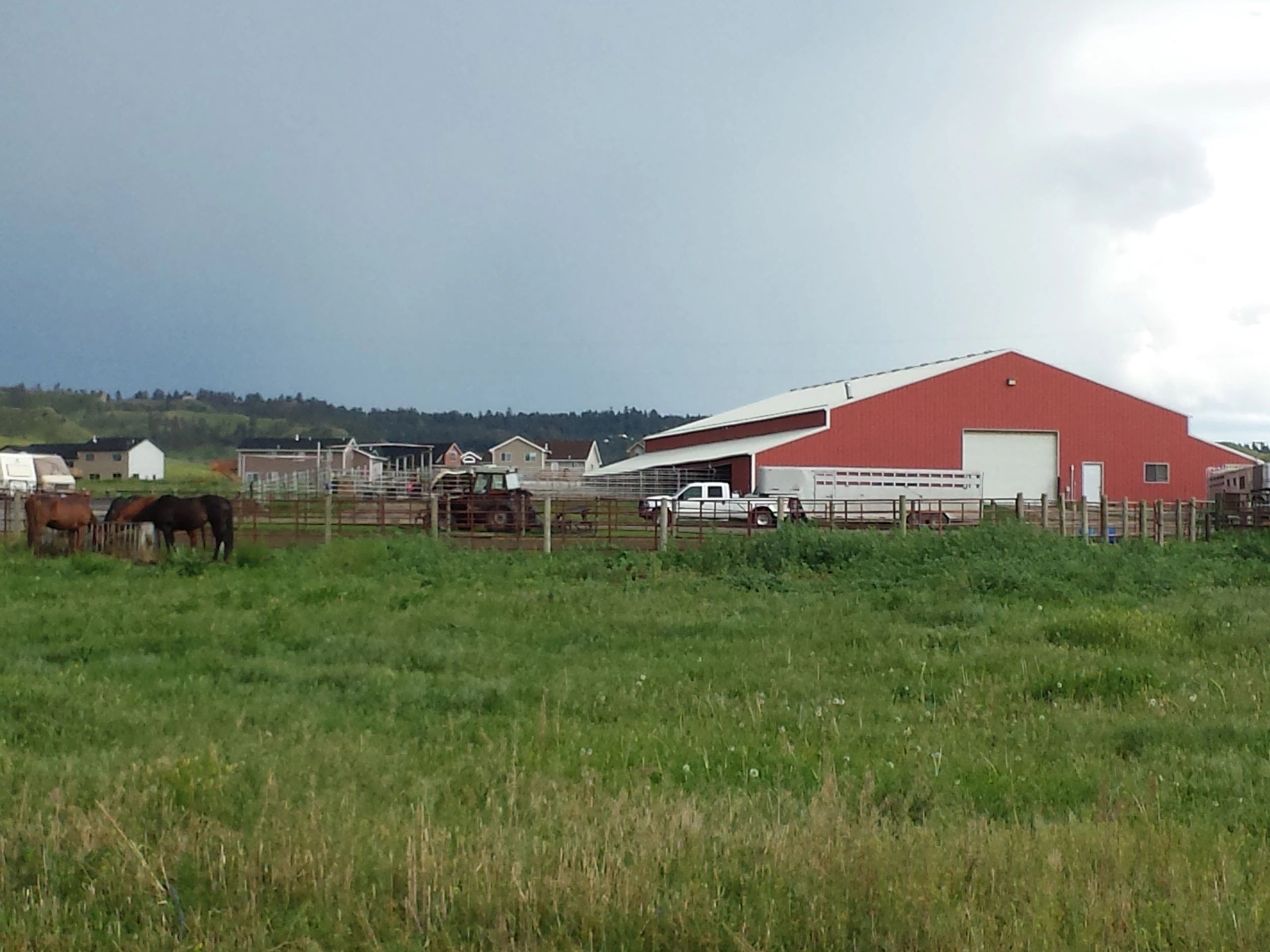 Equine Motel Horse Boarding