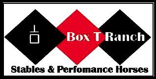 RED HOT HORSES, FEEL THE NEED FOR SPEED?   WE GOT IT - TEAM ROPING, BARREL RACING, PERFORMANCE