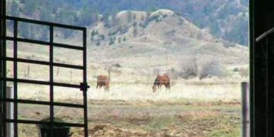 Doot, doot, doot, Lookin out my back (barn) door