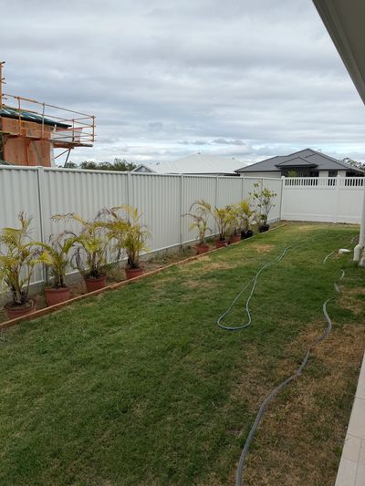 A backyard with potted plants along a white fence and a garden hose on the grass.