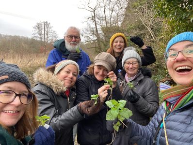 Group learning about edible wild plants during a foraging walk in Surrey with Joyful Outdoors.