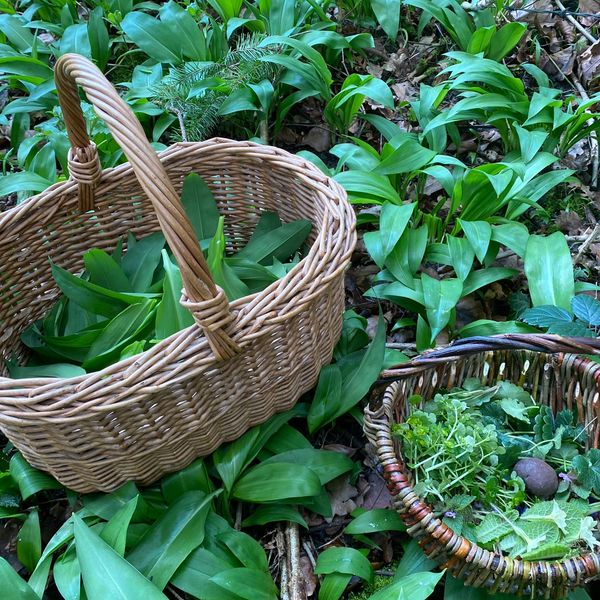 Upcoming outdoor workshops and events schedule by Joyful Outdoors in Surrey.