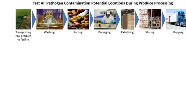 food-production-testing