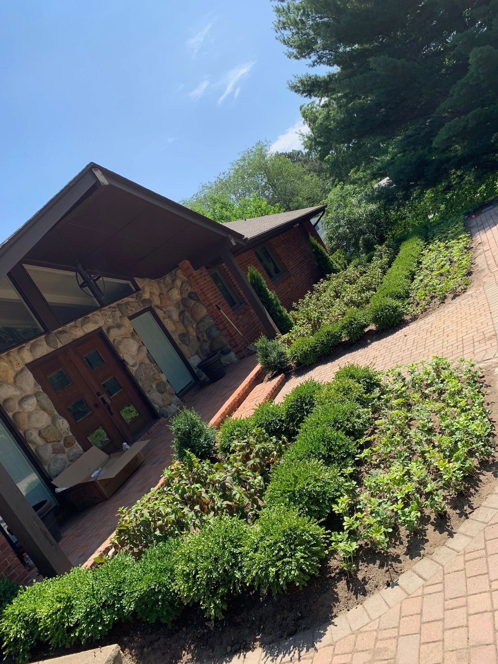 Boxwoods, Twist and Shout hydrangeas, Green Mountain boxwoods, pachysandra, and arborvitaes