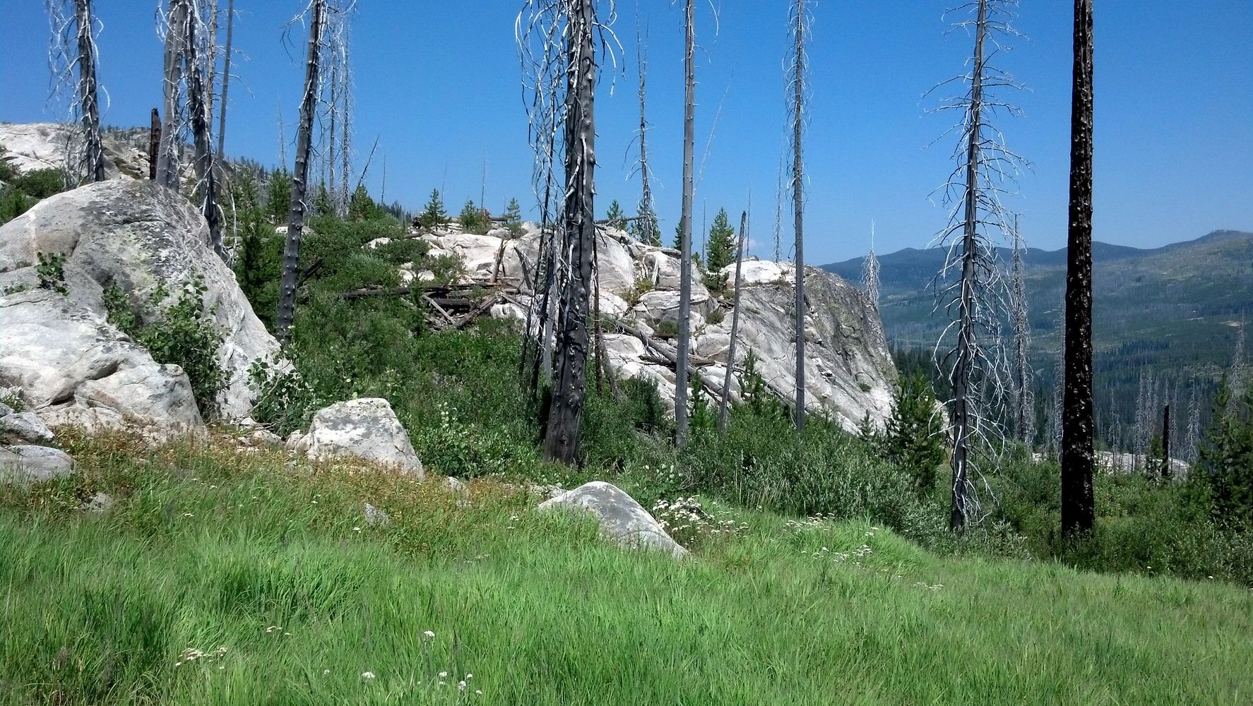 image911