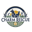 Charm Rescue