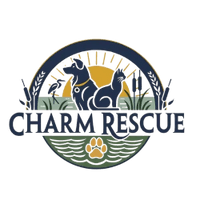 Charm Rescue