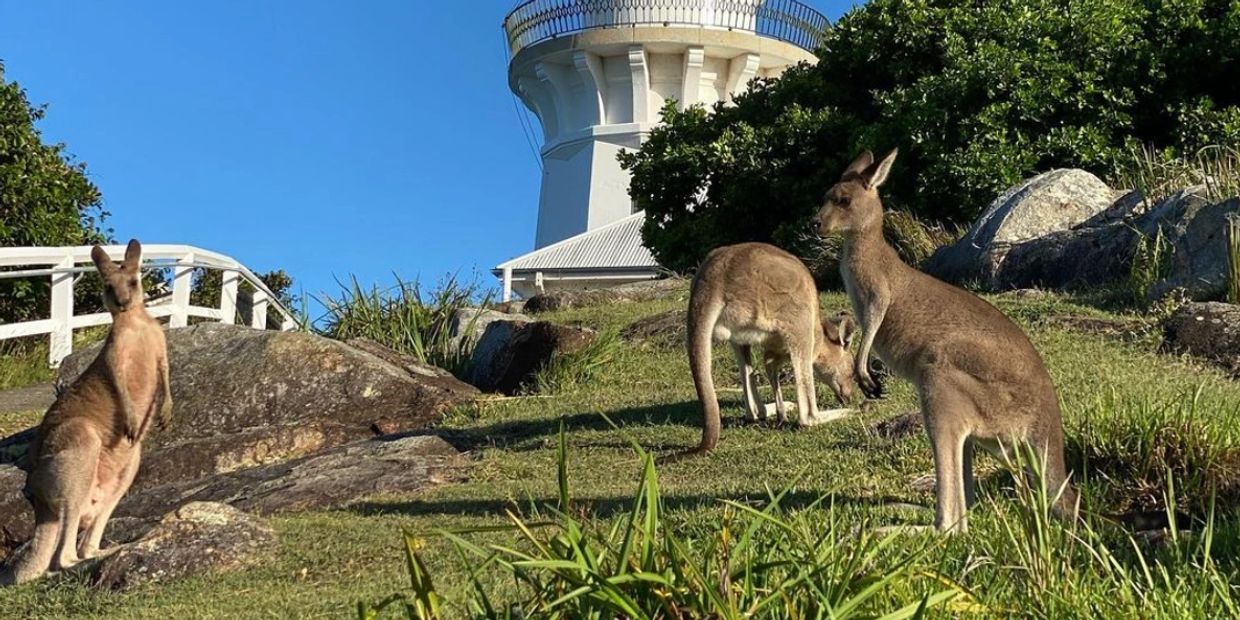 Estudiar en Australia, trabajar y estudiar, permiso de trabajo post estudio, Vivir en Australia