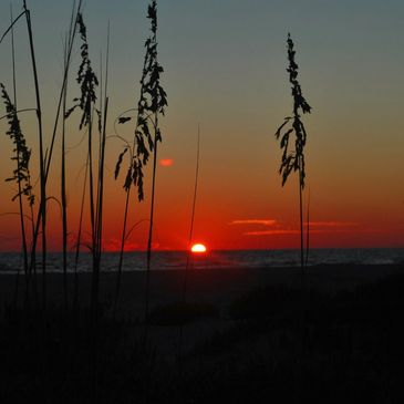 Sunset, Sea oats, Ocean, Beach, Venice Beach, Florida, Gulf Coast, Gulf of Mexico,Venice 