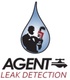 Agent Leak Detection