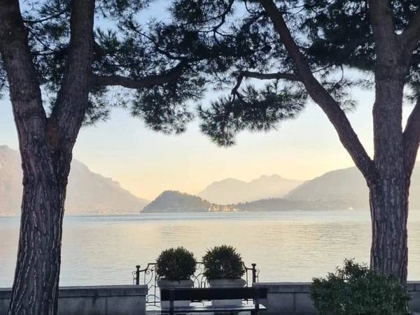 Serene lakeside view framed by trees and a bench at sunset.
