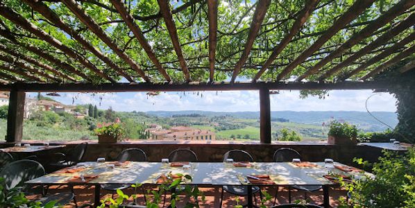 Outdoor dining area with grapevine-covered pergola overlooking a scenic countryside.