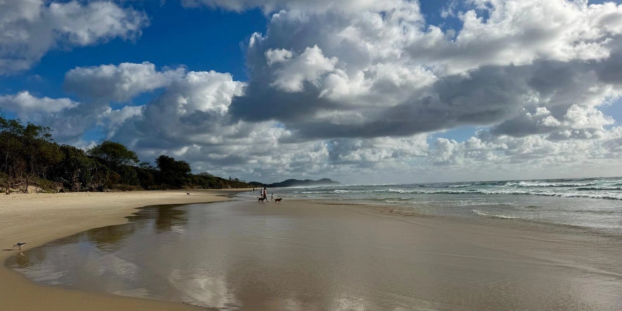 A serene beach with cloudy skies and people walking dogs.