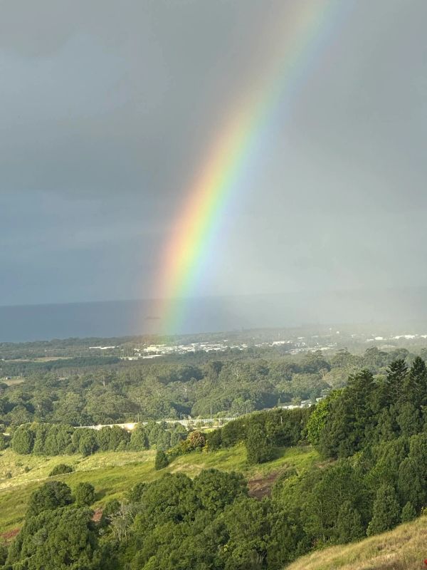 Vibrant rainbow over lush greenery and distant town.
