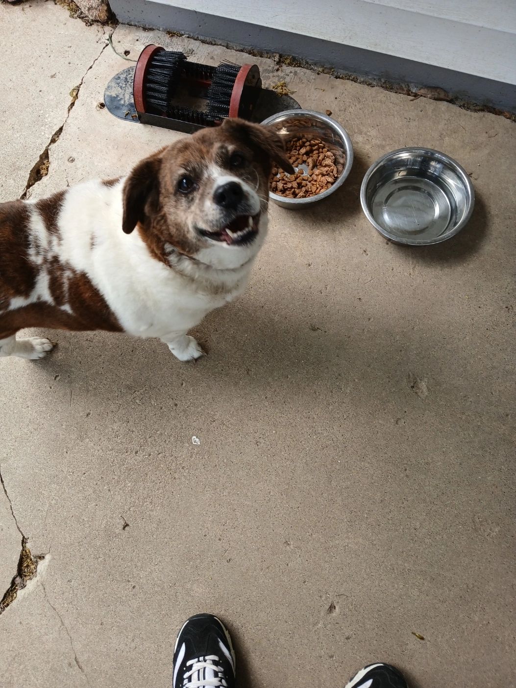 Meet Trixie