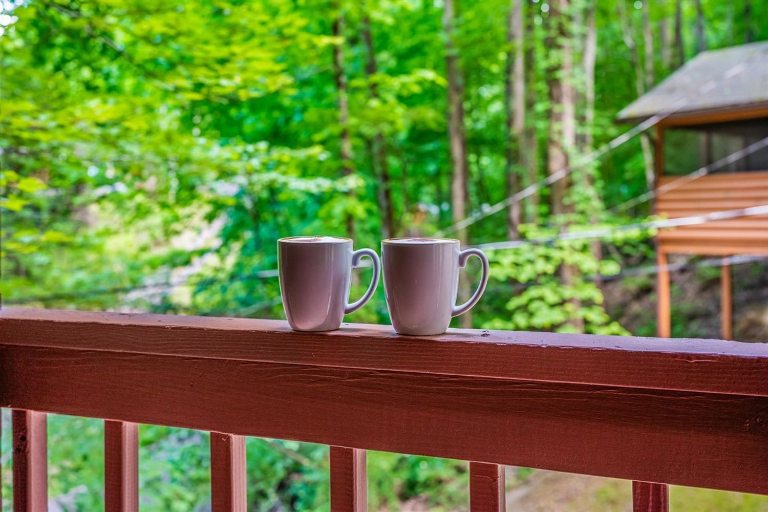 Two white mugs on a wooden railing with a green forest backdrop.