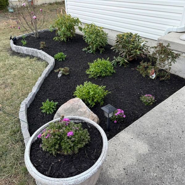 Freshly mulched garden bed with various shrubs and flowers near a house entrance.