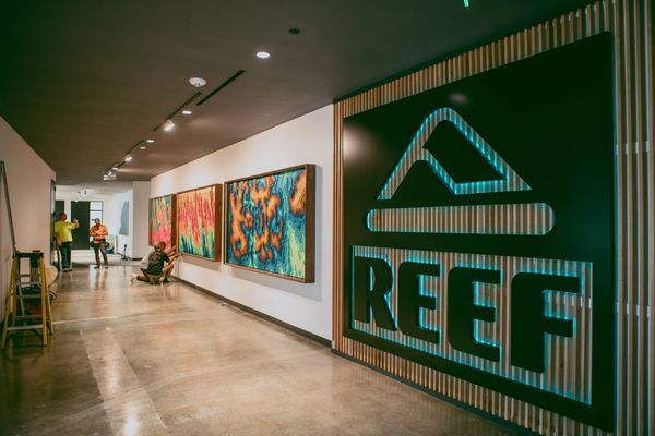 Reef Series at Reef HQ