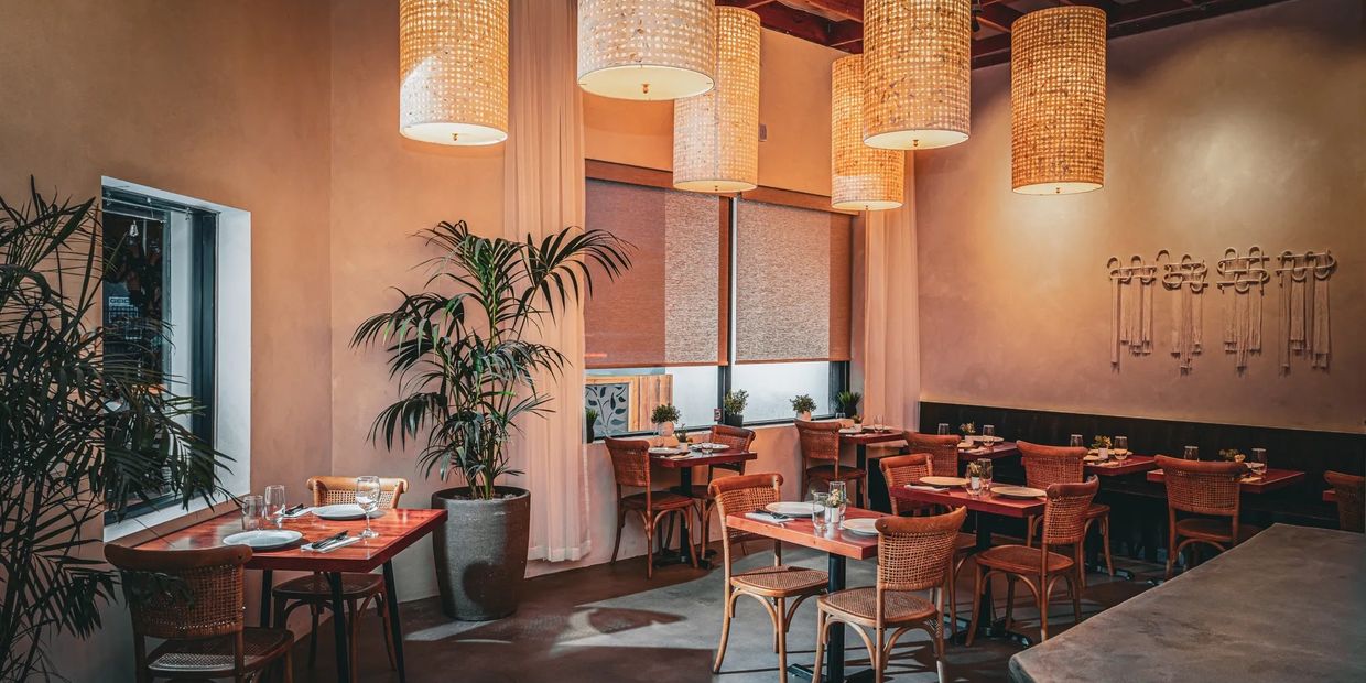 Cozy, warmly lit restaurant with wooden furniture and potted plants.