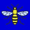 shawheathbees.co.uk
