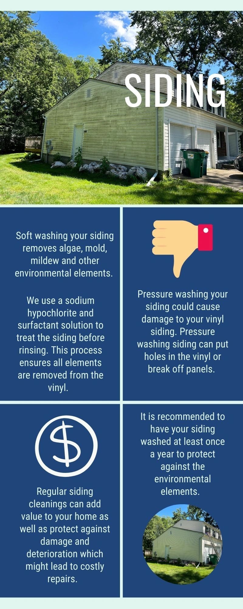 How to Protect Plants when Soft Washing