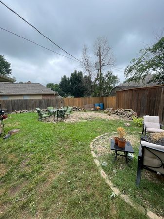 Complete tree removal project