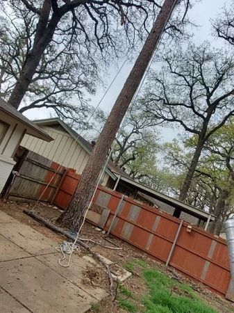 Tree removal project by Green Image Tree Service