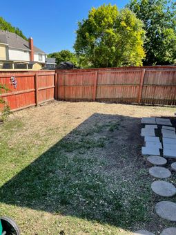 Storm damage tree preparation