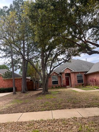 Residential tree service completed