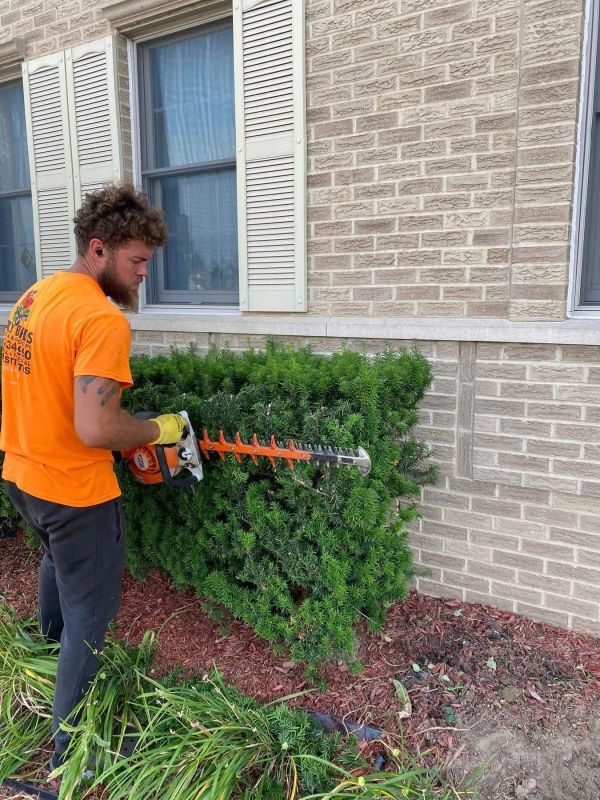 Man trimming bushes with a hedge trimmer in front of a house.