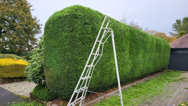 Hedge cutting in Sutton Coldfield by ABE Garden Services 