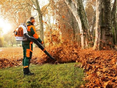 Leaf clearances in Sutton Coldfield by ABE Garden Services 