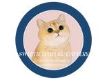 Sweetie daifuku cattery