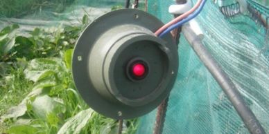 Snail farm electric fence 
