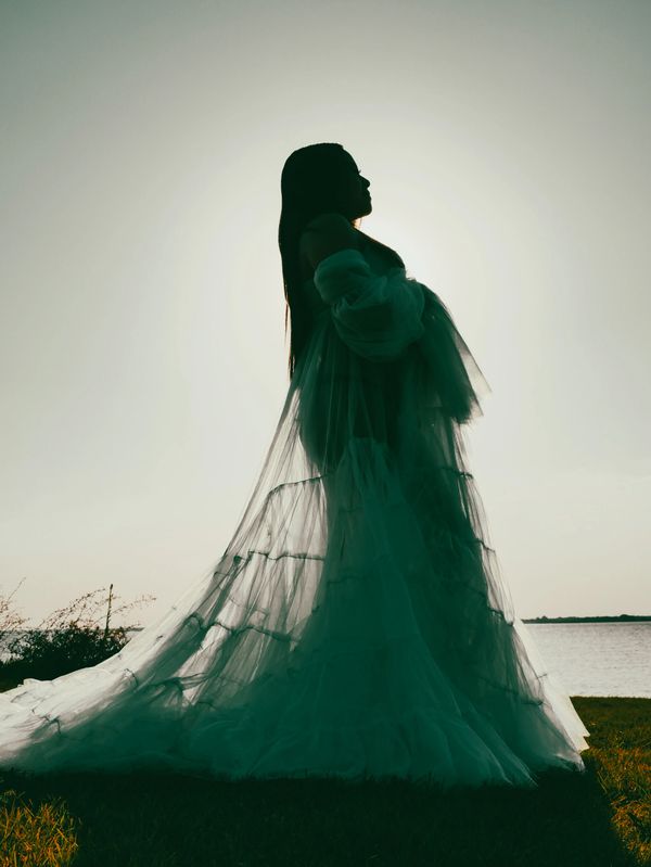 Silhouette of pregnant woman, left side profile, in chiffon maternity dress. Lake scenery background.
