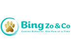 Bing, Zo and Co.