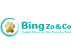 Bing, Zo and Co.