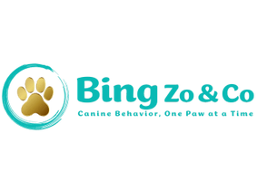 Bing, Zo and Co.